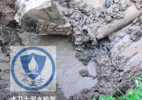 新县水管漏水检测公司5